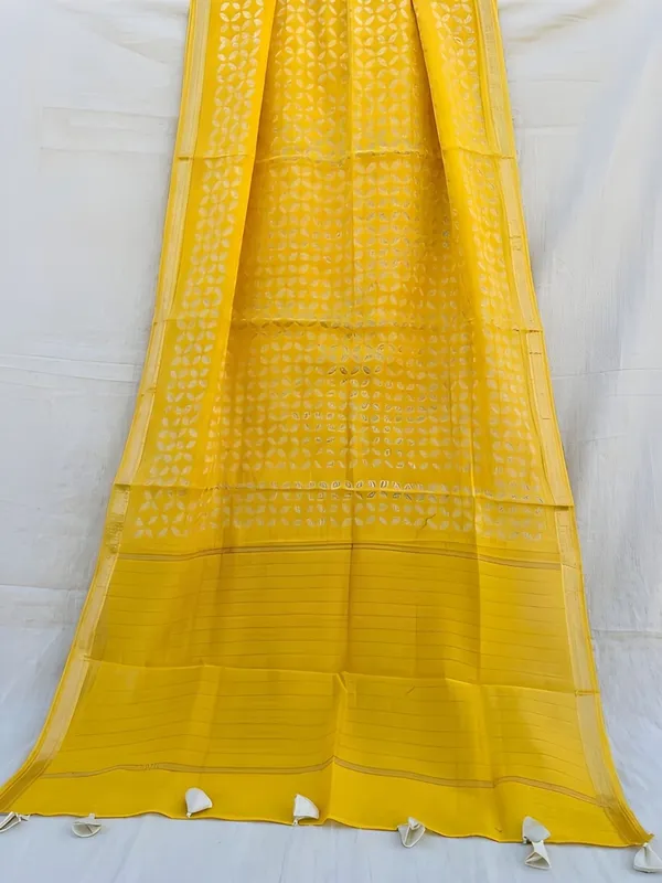 Roop_Baani_Pure_Chanderi_Silk_Applique_Saree_Yellow