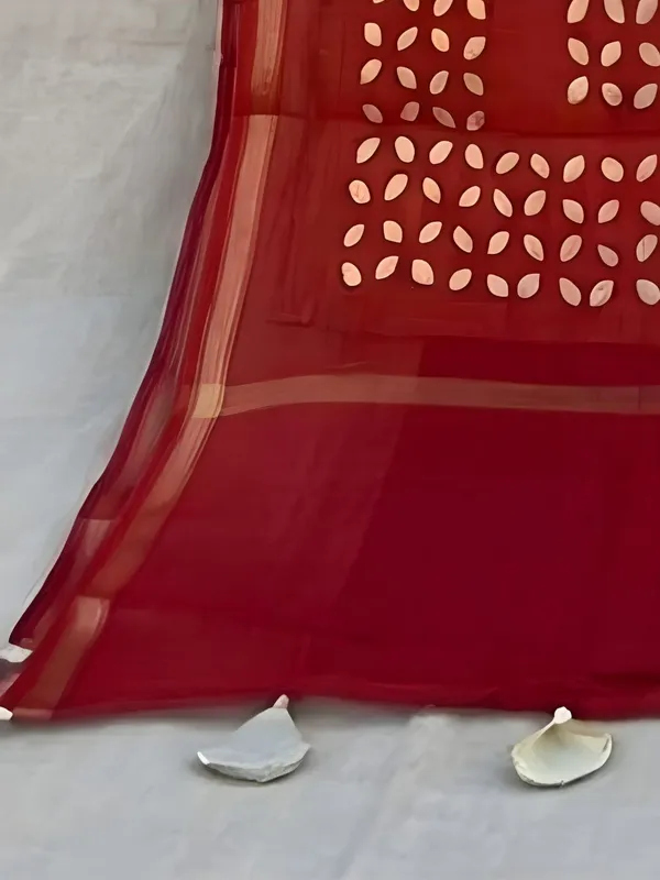Roop_Baani_Pure_Chanderi_Silk_Applique_Saree_Dark_Red