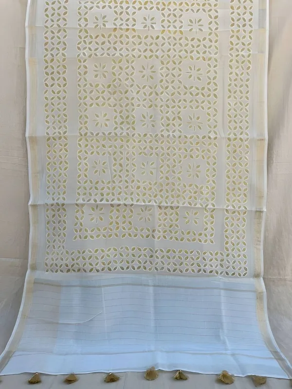 Roop_Baani_Pure_Chanderi_Silk_Applique_Saree_Calm_White