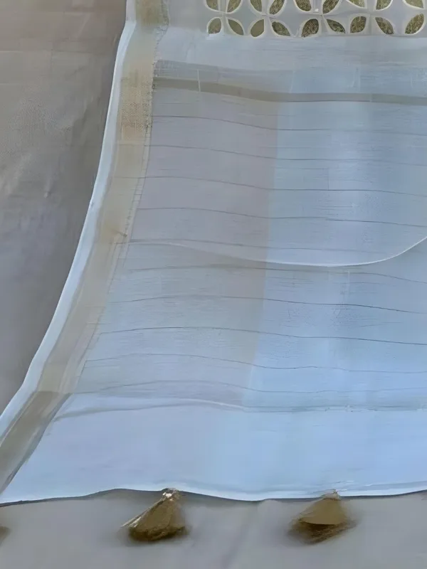 Roop_Baani_Pure_Chanderi_Silk_Applique_Saree_Calm_White