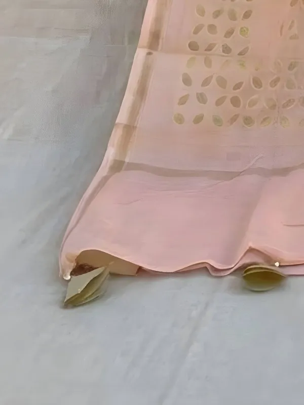 Roop_Baani_Pure_Chanderi_Silk_Applique_Saree_Peach