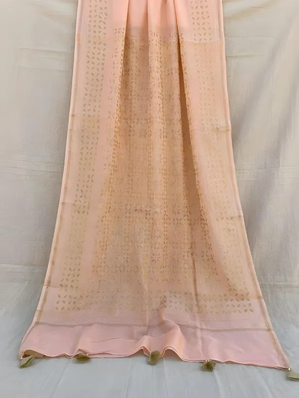 Roop_Baani_Pure_Chanderi_Silk_Applique_Saree_Peach