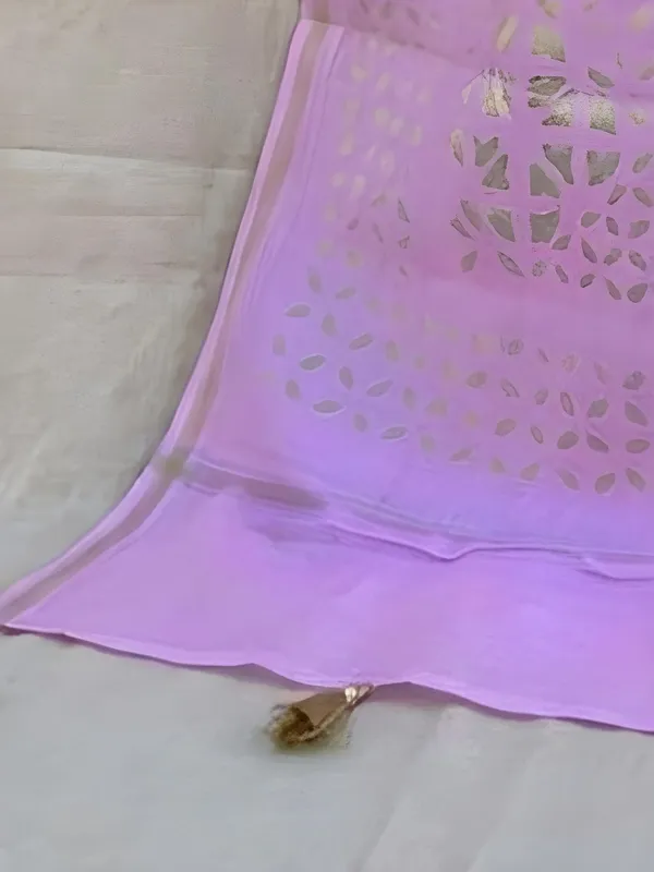 Roop_Baani_Pure_Chanderi_Silk_Applique_Saree_Pink
