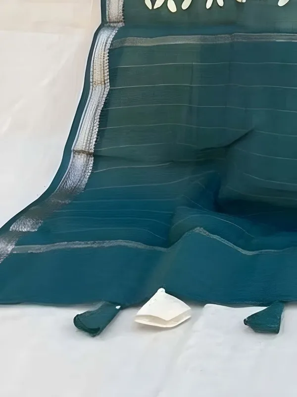 Roop_Baani_Pure_Chanderi_Silk_Applique_Saree_Bottle_Green