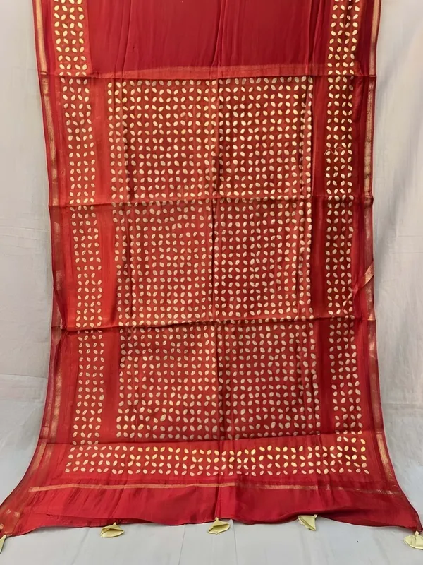 Roop_Baani_Pure_Chanderi_Silk_Applique_Saree_Scarlet_Red