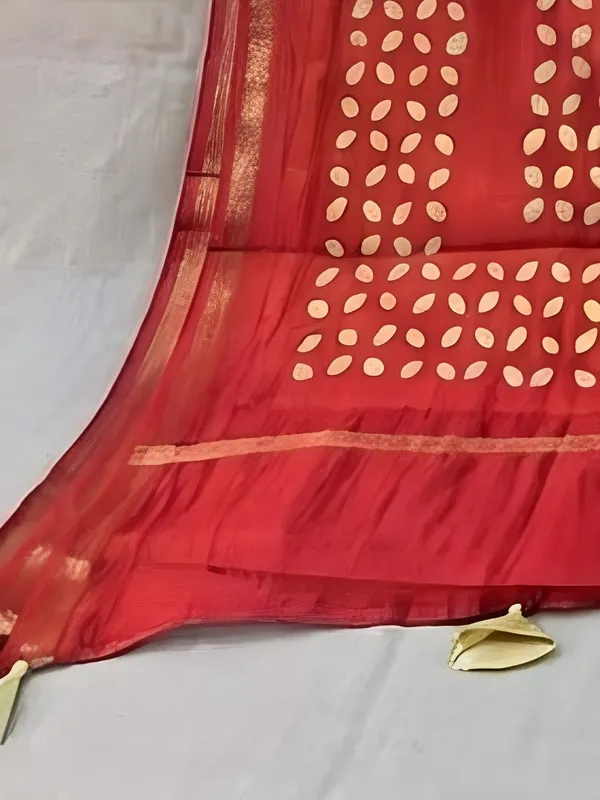 Roop_Baani_Pure_Chanderi_Silk_Applique_Saree_Scarlet_Red