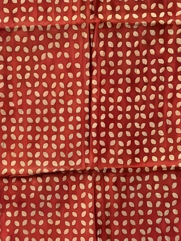 Roop_Baani_Pure_Chanderi_Silk_Applique_Saree_Scarlet_Red
