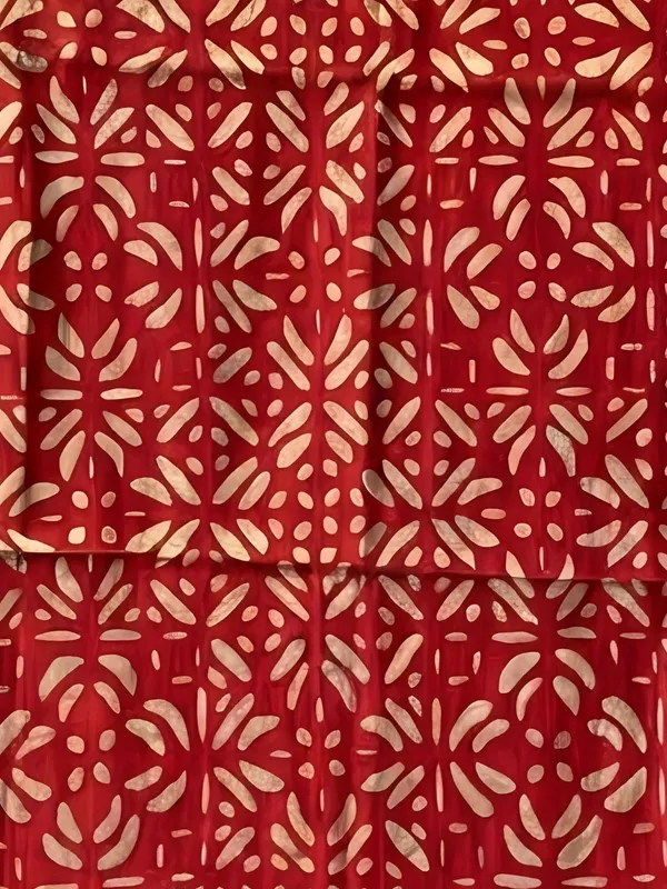 Roop_Baani_Pure_Chanderi_Silk_Applique_Saree_Fiery_Red
