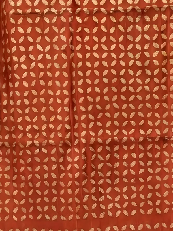 Roop_Baani_Pure_Chanderi_Silk_Applique_Saree_Orange