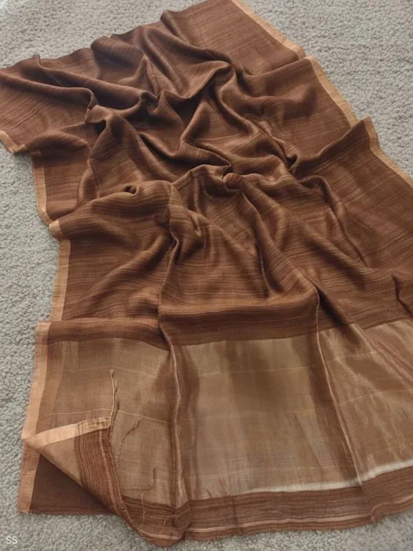 Virasaa_Roop_Silkmark_Handloom_Saree_Coffee_Brown