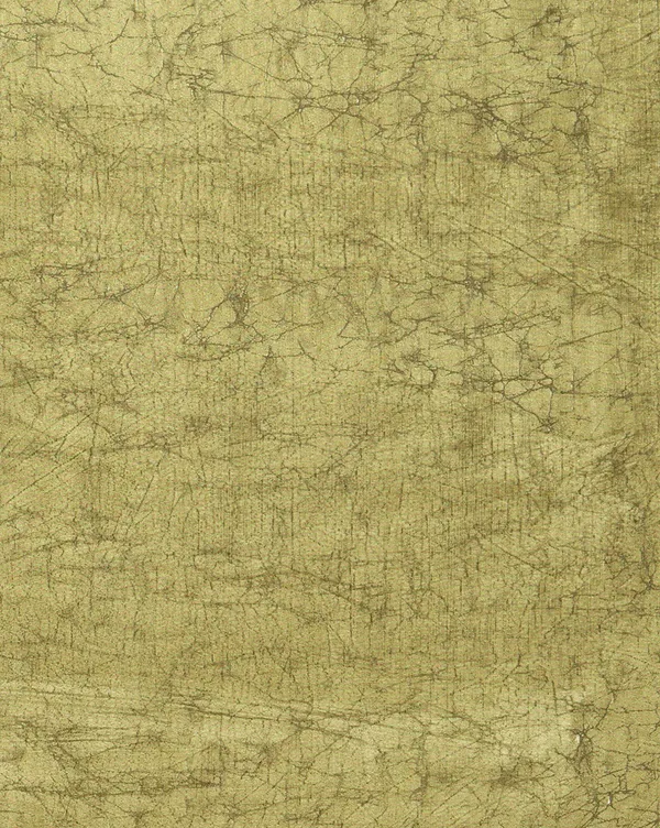 Olive_Green_Floral_&_Geometric_Kashmiri_Silk_Saree_|_Kyaari