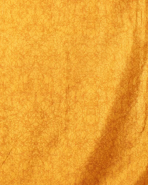 Mustard_&_Olive_Striped_Kashmiri_Silk_Printed_Saree_|_Patjhad