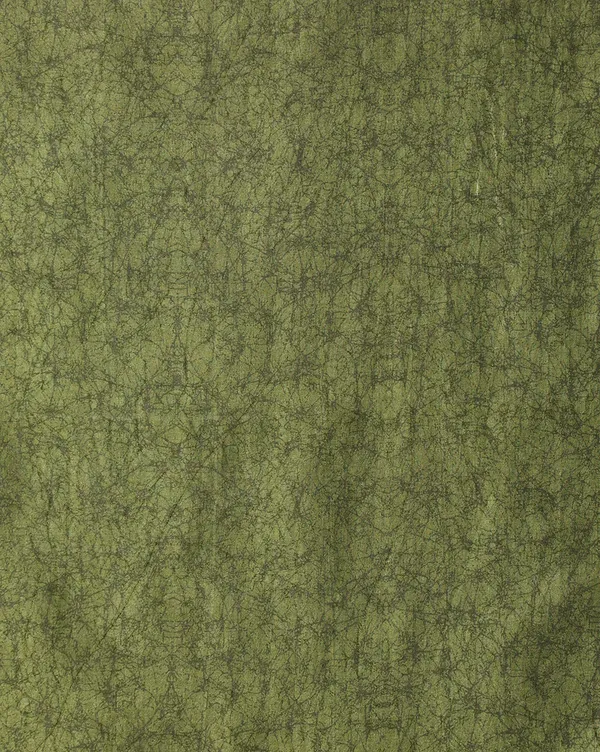Green_&_Orange_Floral_Kashmiri_Silk_Saree,_Striped_|_Kyaari