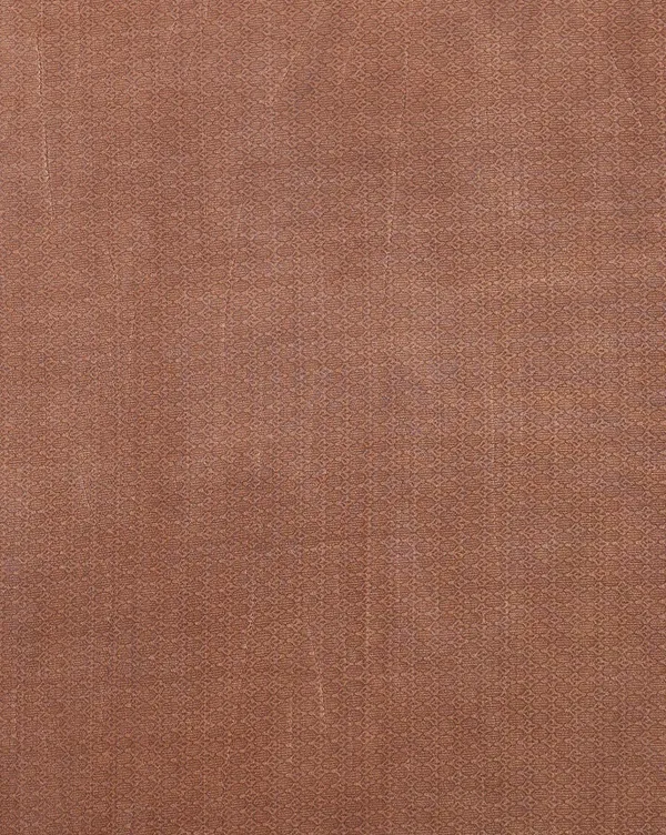 Brown_Floral_Paisley_Printed_Kashmiri_Silk_Saree_|_Silsila