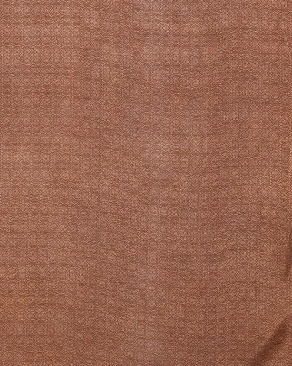 Brown_Paisley_&_Floral_Kashmiri_Silk_Printed_Saree_|_Manzil