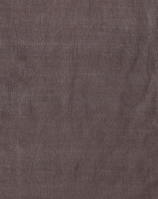 Brown_Cream_Paisley_Printed_Kashmiri_Silk_Saree_|_Silsila