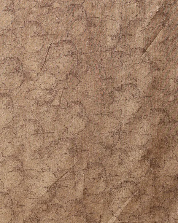 Beige_&_Brown_Border_Kashmiri_Silk_Printed_Saree_|_Patjhad
