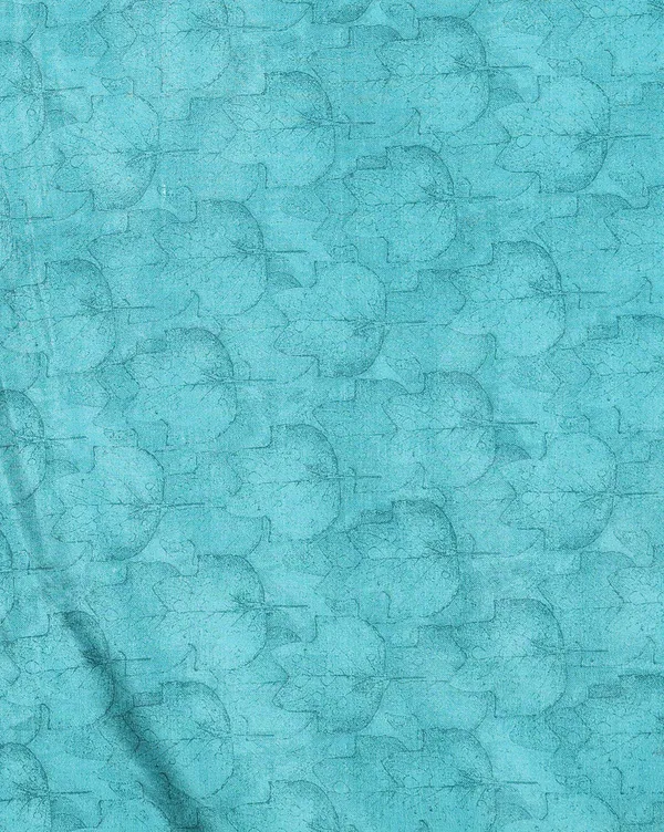 Blue_Scalloped-Pallu_Kashmiri_Silk_Printed_Saree_|_Patjhad