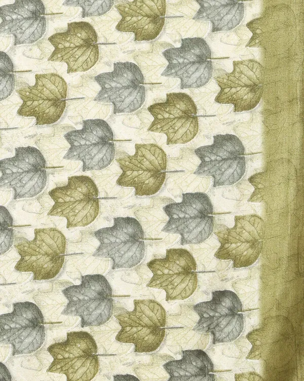 White_&_Olive_Border_Kashmiri_Silk_Printed_Saree_|_Patjhad