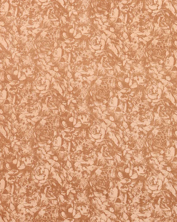 Brown_&_Bronze_Paisley_Kashmiri_Silk_Printed_Saree_|_Manzil