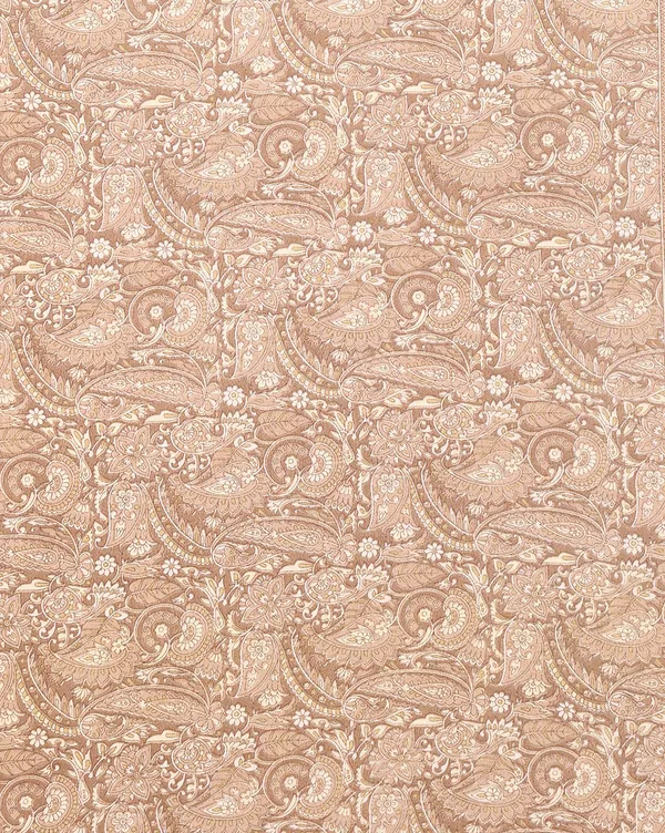 Light_Brown_Paisley_Kashmiri_Silk_Printed_Saree_|_Manzil
