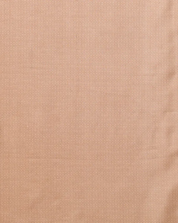 Light_Brown_Paisley_Kashmiri_Silk_Printed_Saree_|_Manzil