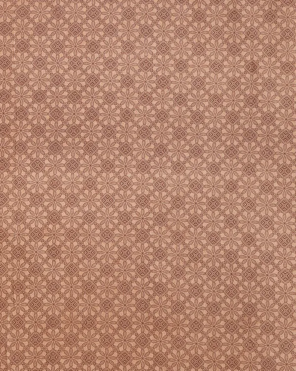 Tan_&_Brown_Paisley_Kashmiri_Silk_Printed_Saree_|_Manzil