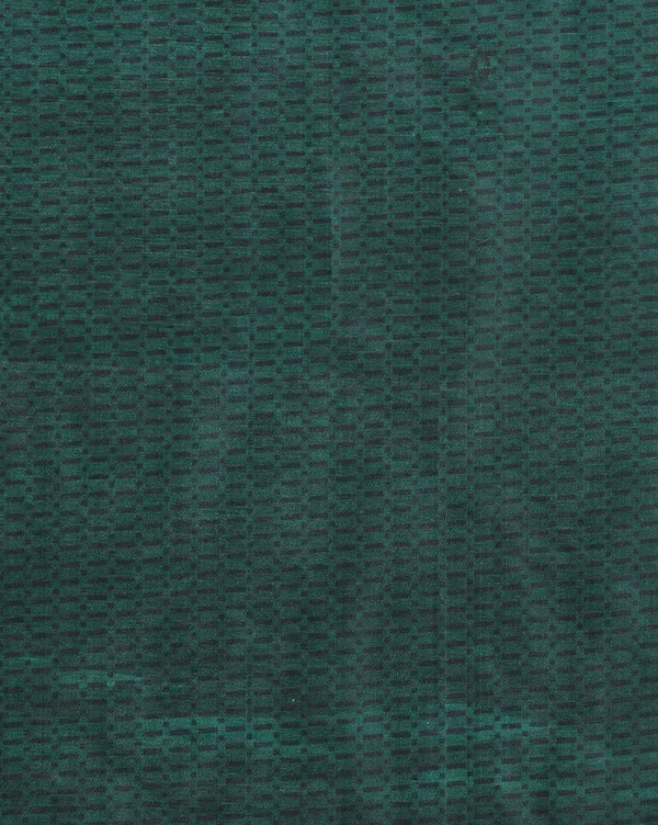 Green_&_Gold_Geometric_Kashmiri_Silk_Saree_|_Taal