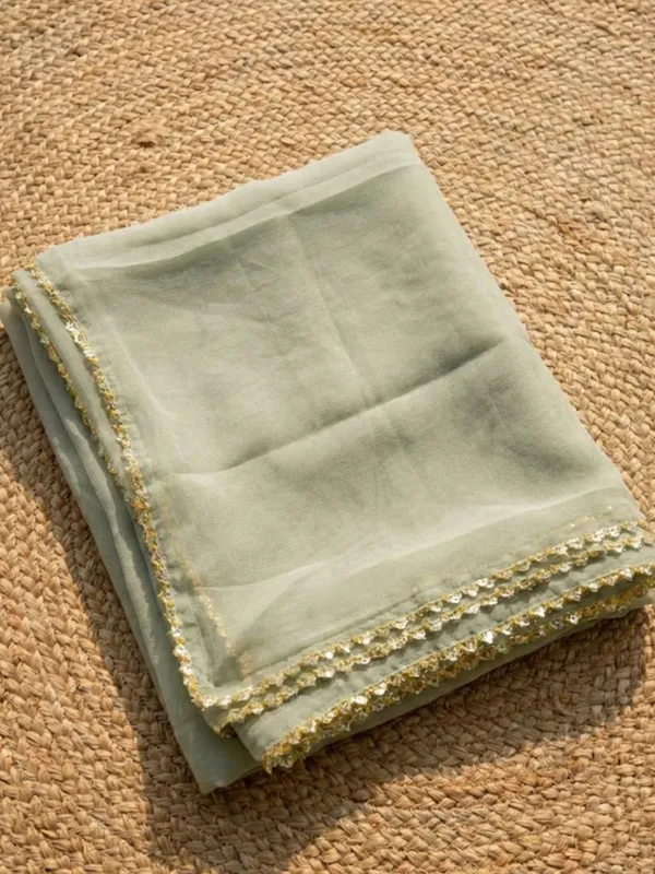 Gulnaar_Organza_Silk_Gota_Patti_Suit_(T+B+D)_Set_Sage_Green