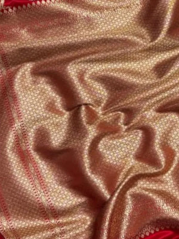 Aviora_Jaal_Mashru_Katan_Silk_Saree_Red