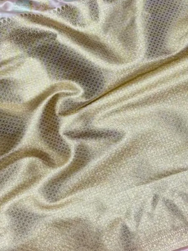 Aviora_Jaal_Mashru_Katan_Silk_Saree_Light_Pink
