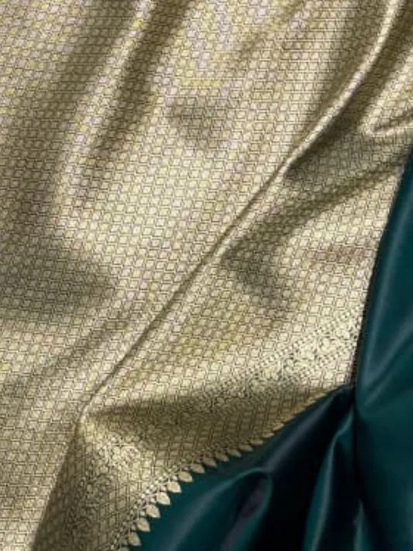 Aviora_Jaal_Mashru_Katan_Silk_Saree_Green