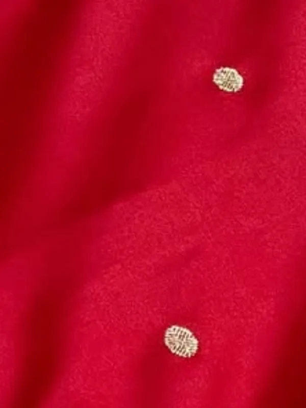 Tanaavya_Mina_Mashru_Katan_Silk_Saree_Blood_Red