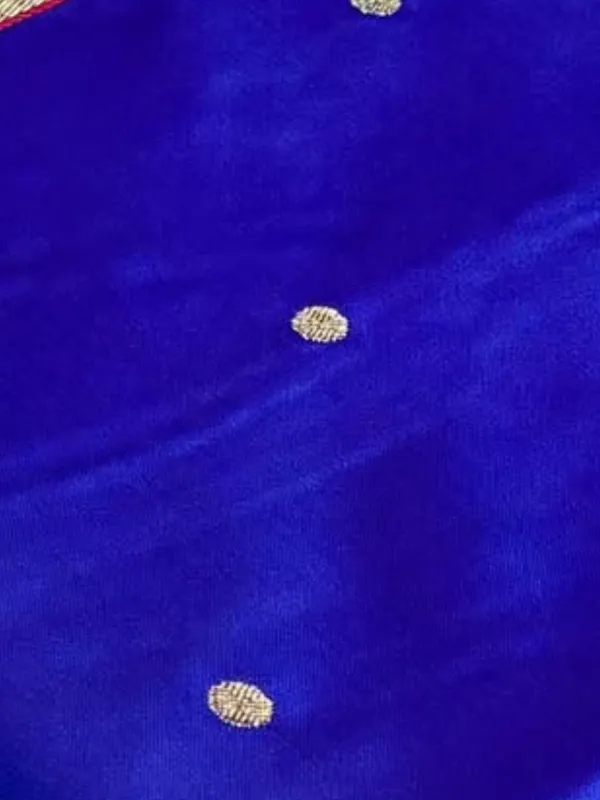 Tanaavya_Mina_Mashru_Katan_Silk_Saree_Blue