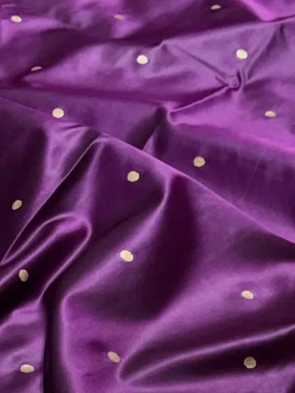 Tanaavya_Mina_Mashru_Katan_Silk_Saree_Violet