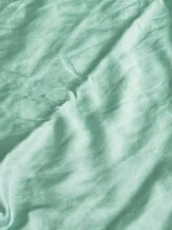 Tanaavya_Mina_Mashru_Katan_Silk_Saree_Sea_Green