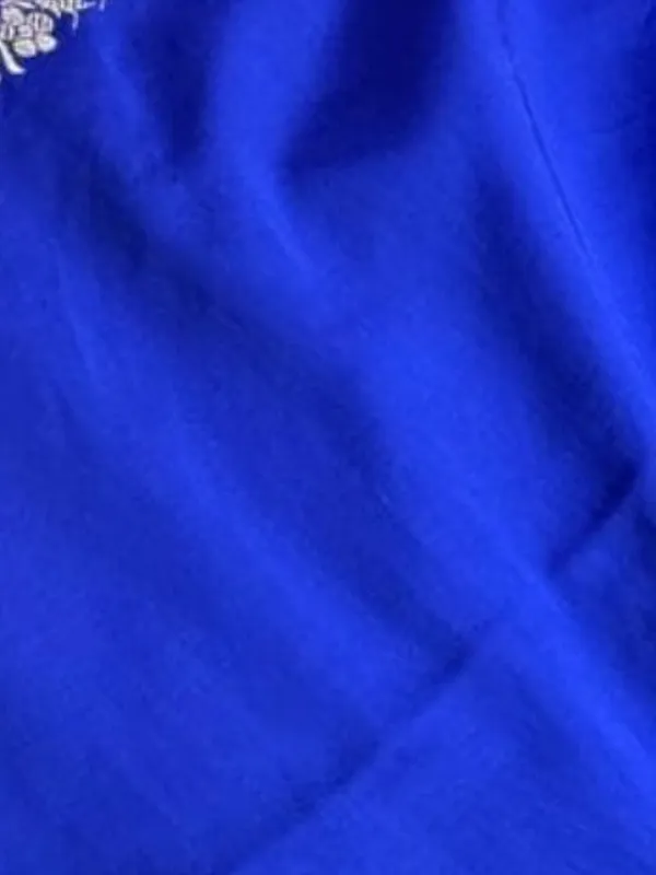 Tanaavya_Mina_Mashru_Katan_Silk_Saree_Calm_Blue