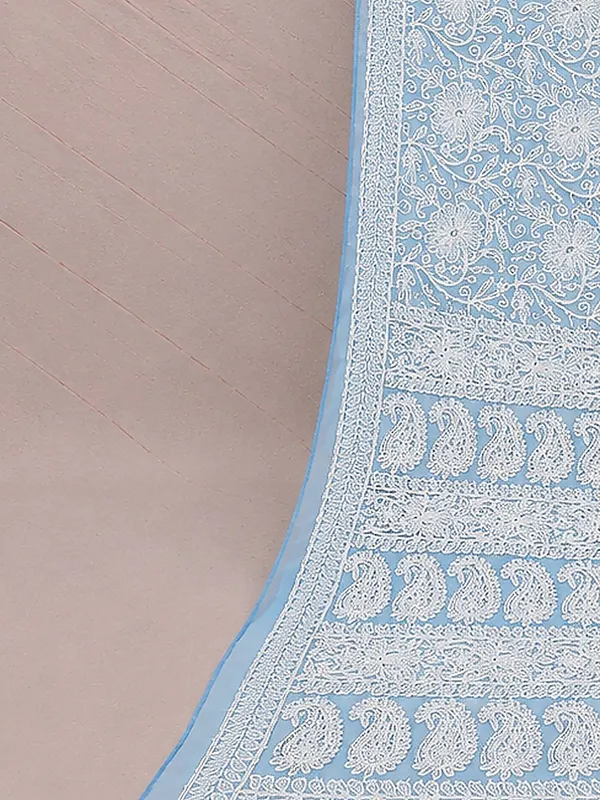 Ruhaani_Georgette_Chikankari_Saree_Light_Blue