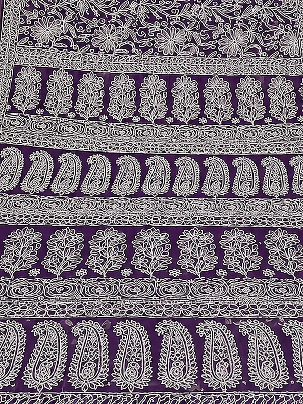 Ruhaani_Georgette_Chikankari_Saree_Pale_Green