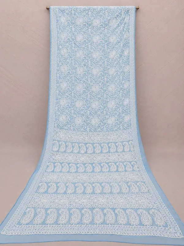 Ruhaani_Georgette_Chikankari_Saree_Plum