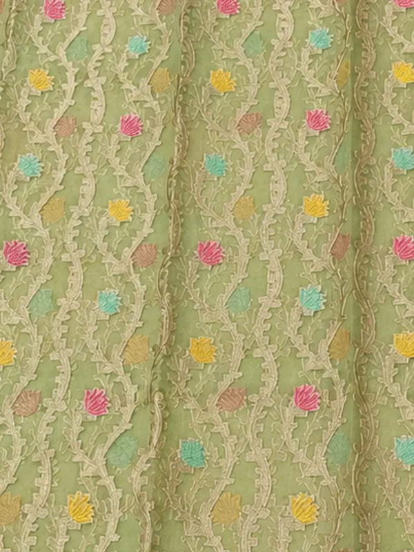 Tarini_Jamdani_Kora_Banarasi_Silk_Saree_Pistachio_Green