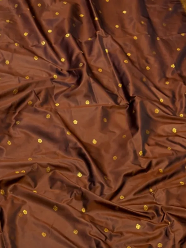 Rajdhara_Handloom_Paithani_Silk_Saree_Rich_Brown