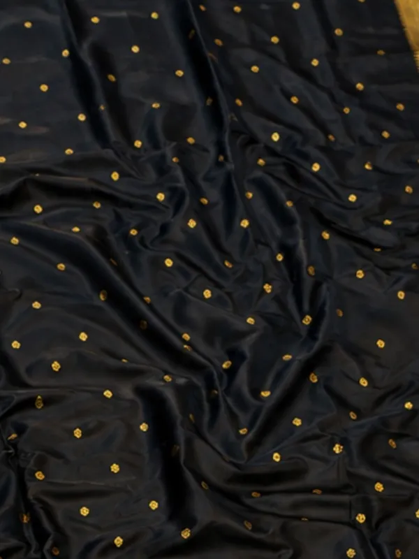 Rajdhara_Handloom_Paithani_Silk_Saree_Classic_Black