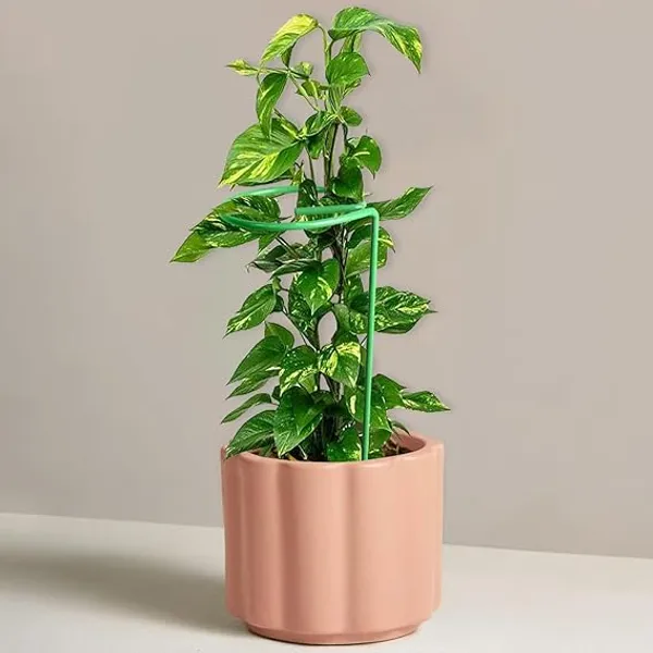 Set_of_3_Green_Metal_Trellis_|_For_Plant_Support_|_18_Inches_|_Super_Long_And_Strong