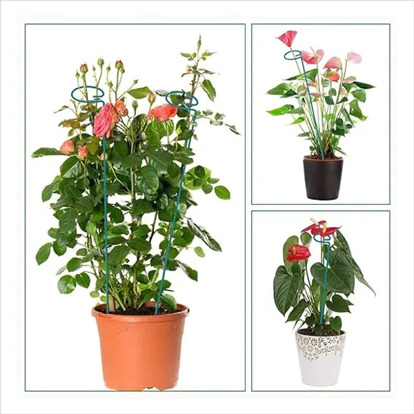 Set_of_3_Green_Metal_Trellis_|_For_Plant_Support_|_18_Inches_|_Super_Long_And_Strong