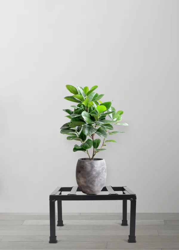 Set_Of_8_Black_Metal_Square_Stand_|_For_Indoor_And_Outdoor_Plants_|_Thick_And_Strong_Leg