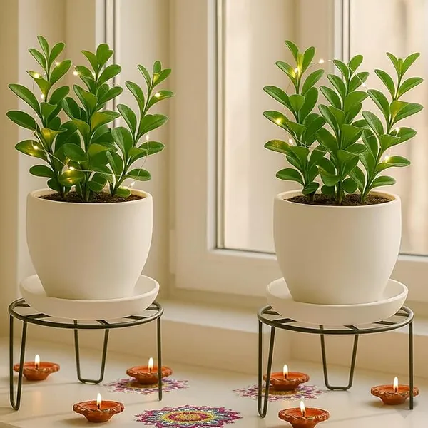 Set_Of_2_Black_Round_Metal_Flower_Pot/Plant_Stand_For_Home_Garden_Balcony_Living_Room_Decor_()