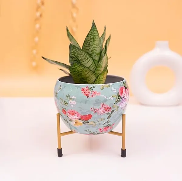 Aqua_Green_Decorative_Pot_With_Stand_For_Indoor_Plants_Rust_Free_Metal_Plant_Pots_For_Living_Room_And_Table_Top