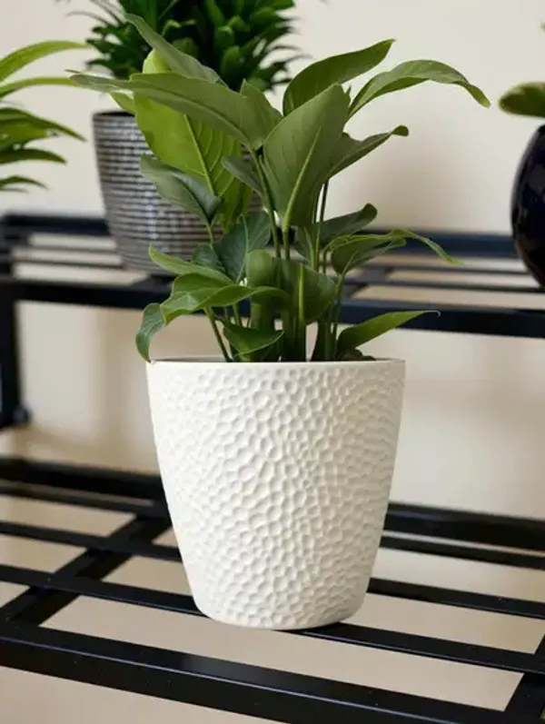 Set_Of_1_Black_2_Step_Stand_(3ft)_for_Multiple_Plants_and_Pots_Stand,_Indoor_Shelf_Holder_Rack,_Gardening_Stand,_Indoor_Outdoor