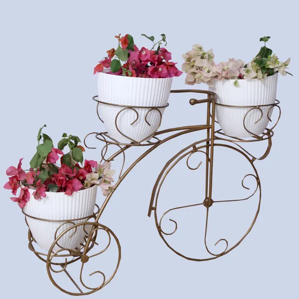 Cycle_Planter_Stand,_Tricycle_Plant_Holder_Ideal_for_Home,_Garden,_Terrace_set_of_1,_Gold